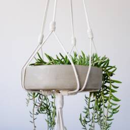 Minimal Plant Hanger - thumbnail 3
