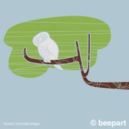 Owl & Tree Branch Wall Decal Mid Century Modern Inspired Design - thumbnail 2