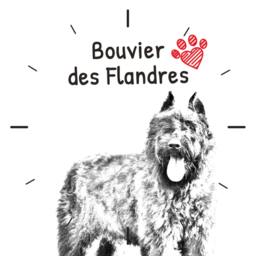 Flandres Cattle Dog, Free Standing Mdf Floor Clock With An Image Of A Dog - thumbnail 2