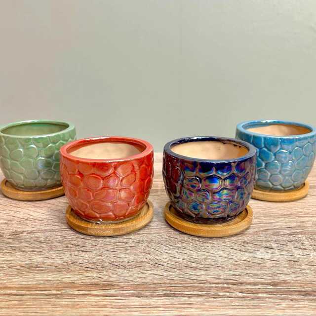 Ceramic Gloss Succulent Planters With Bamboo Coaster/Small Desktop Plant Pot Indoor Office Home Gift Idea - image 1