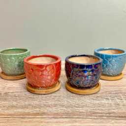 Ceramic Gloss Succulent Planters With Bamboo Coaster/Small Desktop Plant Pot Indoor Office Home Gift Idea - thumbnail 1