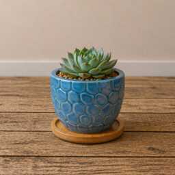 Ceramic Gloss Succulent Planters With Bamboo Coaster/Small Desktop Plant Pot Indoor Office Home Gift Idea - thumbnail 4