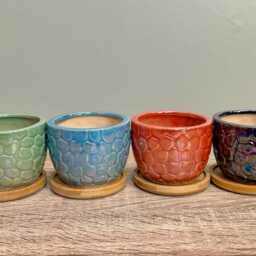 Ceramic Gloss Succulent Planters With Bamboo Coaster/Small Desktop Plant Pot Indoor Office Home Gift Idea - thumbnail 2