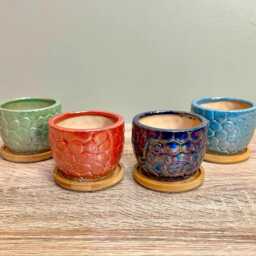 Ceramic Gloss Succulent Planters With Bamboo Coaster/Small Desktop Plant Pot Indoor Office Home Gift Idea - thumbnail 2