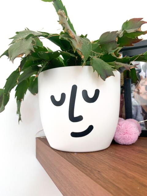 Face Plant Pot, White Minimalistic Flower Planter, Indoor Pot Home Decor, Personalised Self-Watering Plastic Office, Bedroom - image 1
