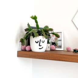 Face Plant Pot, White Minimalistic Flower Planter, Indoor Pot Home Decor, Personalised Self-Watering Plastic Office, Bedroom - thumbnail 2