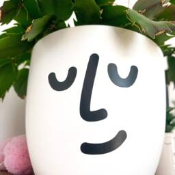 Face Plant Pot, White Minimalistic Flower Planter, Indoor Pot Home Decor, Personalised Self-Watering Plastic Office, Bedroom - thumbnail 3