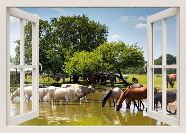 Horses Wall Decal, 3D Window Frame Animals View Mural, Living Room Home Decor