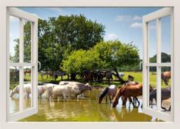 Horses Wall Decal, 3D Window Frame Animals View Mural, Living Room Home Decor