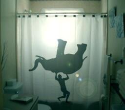 Body Building Gym Shower Curtain, Weight Lifting Workout Bathroom Decor, Strength Training Exercise - thumbnail 1