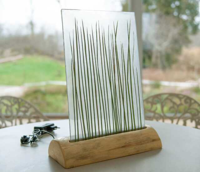 Real Grass Modern Table Lamp Scandinavian, Glass Epoxy Resin, Nordic Style Minimalism Plant Decor, Design For Bedroom Office - image 1