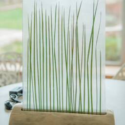 Real Grass Modern Table Lamp Scandinavian, Glass Epoxy Resin, Nordic Style Minimalism Plant Decor, Design For Bedroom Office - thumbnail 3