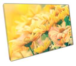 Wild Sunflower Wall Art Print Ready-To-Hang Nature Canvas For Home & Office Decor - thumbnail 1