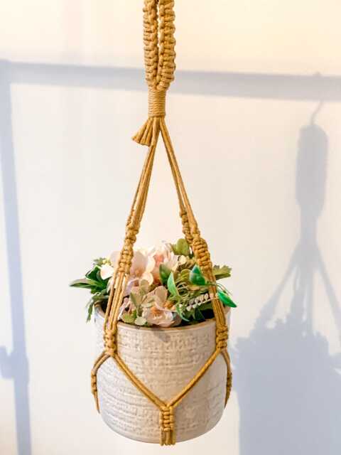 Ceiling Plant Hanger No Tassel, Indoor Flower Pots Holder, Macrame Wall Basket Tail, Modern Hanging Planter Display - Pots Not Included - image 1
