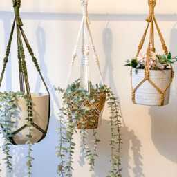Ceiling Plant Hanger No Tassel, Indoor Flower Pots Holder, Macrame Wall Basket Tail, Modern Hanging Planter Display - Pots Not Included - thumbnail 3