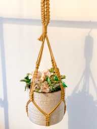 Ceiling Plant Hanger No Tassel, Indoor Flower Pots Holder, Macrame Wall Basket Tail, Modern Hanging Planter Display - Pots Not Included - thumbnail 1