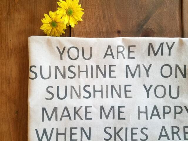You Are My Sunshine Pillow L Spring Home Decor - image 1