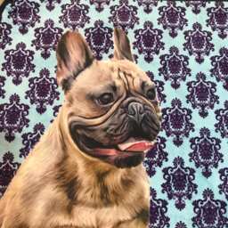 French Bulldog Home Mat, Pet Portrait Rug, Animal Lovers Gift - thumbnail 3