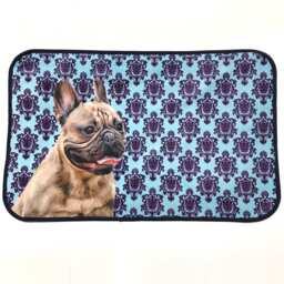 French Bulldog Home Mat, Pet Portrait Rug, Animal Lovers Gift - thumbnail 2