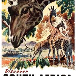 Reprint Of The Vintage Travel Poster - Discover South Africa - thumbnail 3