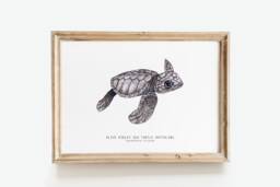 Olive Ridley Sea Turtle Hatchling - Lepidochelys Olivacea Art Print Watercolor Nature Wall Nursery, Living, Bedroom, Home D??cor Poster - thumbnail 1