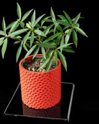 3D Printed Geometric Planter Modern Pentagon Succulent Pot With Drainage - thumbnail 1