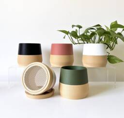 Planter/Minimalist Flower Pot Mesh Drainage & Tray 4 Inch Planter