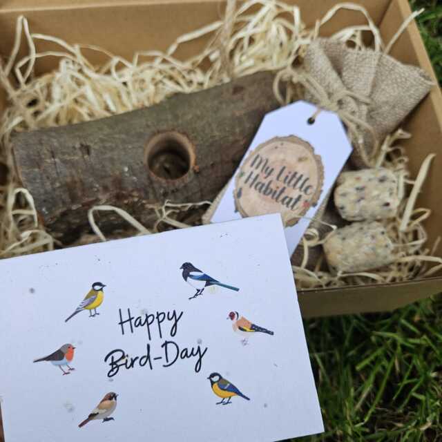 Swing Bird Feeder Gift Set - Handmade Feeder With Natural Locally Sourced Wood + Wildflower Seed Plantable Card - image 1