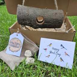 Swing Bird Feeder Gift Set - Handmade Feeder With Natural Locally Sourced Wood + Wildflower Seed Plantable Card - thumbnail 4