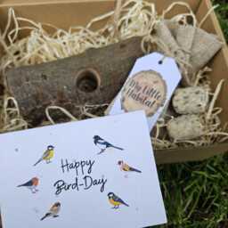 Swing Bird Feeder Gift Set - Handmade Feeder With Natural Locally Sourced Wood + Wildflower Seed Plantable Card