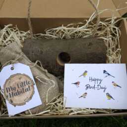 Swing Bird Feeder Gift Set - Handmade Feeder With Natural Locally Sourced Wood + Wildflower Seed Plantable Card - thumbnail 2