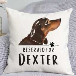 Dachshund Cushion - Dog Related Gift Reserved For Dog Cushion Gift - thumbnail 1