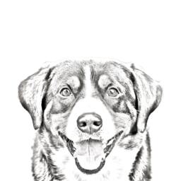 Entlebucher Mountain Dog - Wooden Stand For Candles/Pens With The Image Of A Dog New Collection - thumbnail 2