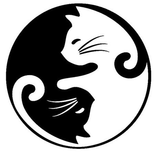 Cat Yin Yang Book Folding - Pattern Only