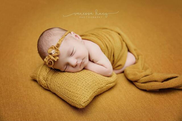 Mustard Samantha Posing Fabric, Backdrop, Newborn Cover, Wrap, Fabric Bean Bag Blanket, Beanbag Baby Shower Gift - image 1