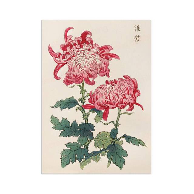 Japanese Ukiyo-E Art Print Poster Woodblock Wall Keika Hasegawa Chrysanthemums Flowers Landscape Tattoo Beautiful Japan Calligraphy A3 - image 1