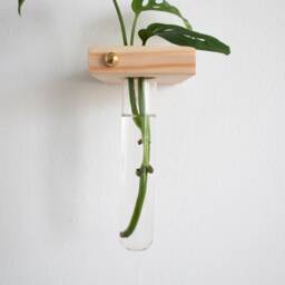Wall Plant Propagation Station, Propagating Station, Hanging Plant, Propagate Plants, Test Tube Planter - thumbnail 3