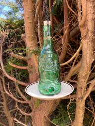 Upcycled Buddha Beer Bottle Bird Feeders With Ceramic Plate As A Base. Makes Unique Home/Garden Gift. Home Decor. Quirky Gift - thumbnail 1