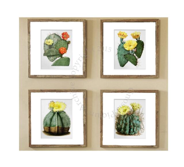 Succulent Plant Cactus Wall Art Set Of 4 Unframed Southwest Decor - image 1