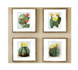 Succulent Plant Cactus Wall Art Set Of 4 Unframed Southwest Decor - thumbnail 1