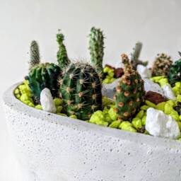 Concrete Heart Planter - thumbnail 4