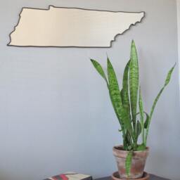 Tennessee Mirror/Wall State Outline Silhouette Shape Art University Of Ut Vols Nashville - thumbnail 3