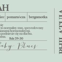 Leah Baby Blues Natural Essential Oil Soy Wax Candle - thumbnail 3