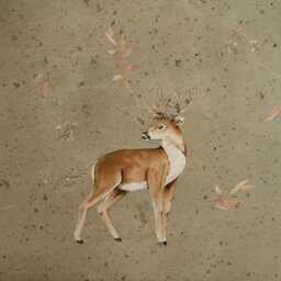 Majestic Buck Wall Decal Neutral Woodland Nursery Art - thumbnail 4