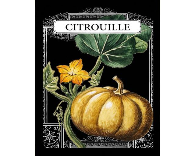 Citrouille Seed Packet Typography Vintage Enamel Metal Tin Sign Wall Plaque