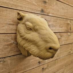 Capybara Wall Mount - Animal Art Home Decor 3D Printed - thumbnail 3