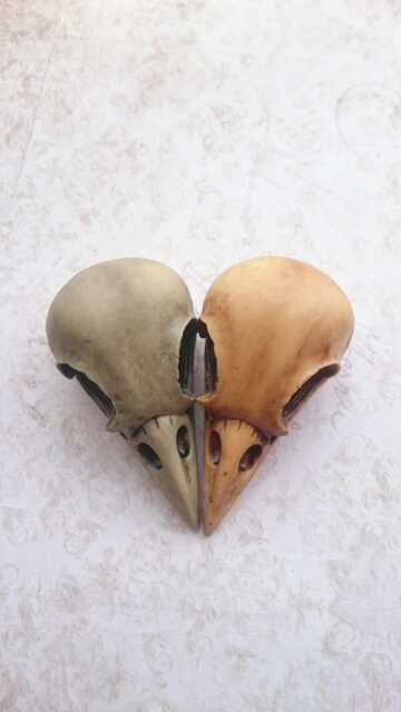 Large Resin Bird Skull Cabochon Aged Steampunk Goth Decor - 75x40mm - image 1
