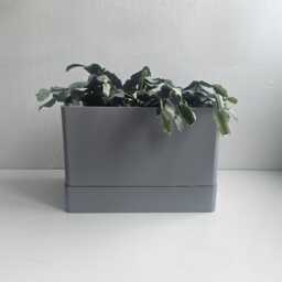 Indoor Planter, Rectangular Plant Pot With Drip Tray, Planter For Fresh Herbs