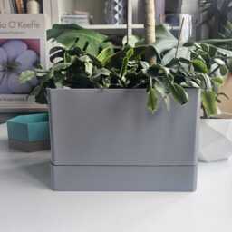Indoor Planter, Rectangular Plant Pot With Drip Tray, Planter For Fresh Herbs - thumbnail 2
