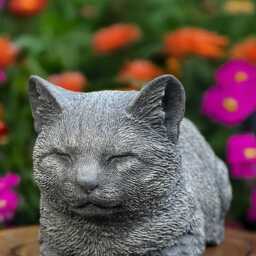 Lovely Cat Statue Concrete Kitten Figurine Stone Pet Memorial Sculpture Outdoor Yard Ornament Garden Animal Art Decor Cat Lover Gift - thumbnail 4